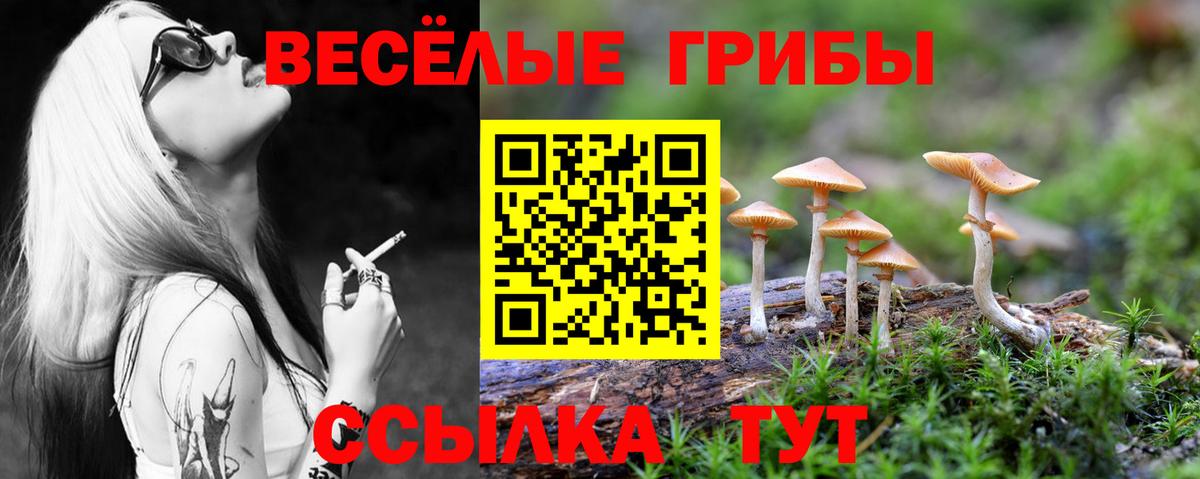 Кувандык  Псилоцибиновые грибы мухоморы  Вход с VPN 